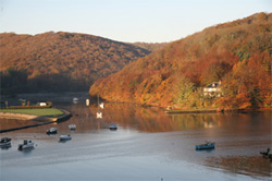 Over Looking the Mill Pool