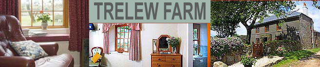 Trelew Farm  Bed and Breakfast