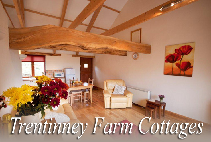 North Cornwall countryside at Trentinney Farm