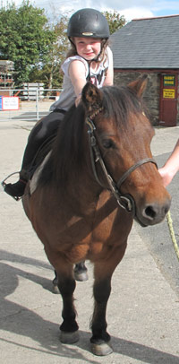 Pony rides