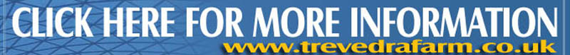 Cornwall Online Contact details