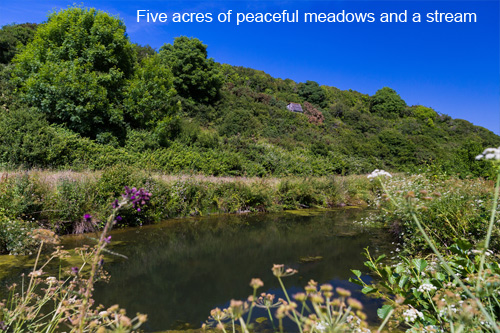 Holidays in Padstow @ Trevio Farmhouse 5 acres of meadows and stream