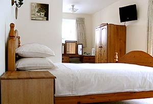 Bed & Breakfast Holidays in Falmouth - Trewint Guesthouse
