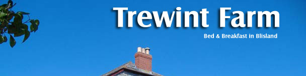 Trewint farm Bed and Breakfast Bodmin Moor
