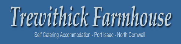 Trewithick Farm - Port Isaac - North Cornwall