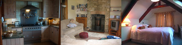 Trewithick Farm - Port Isaac - North Cornwall
