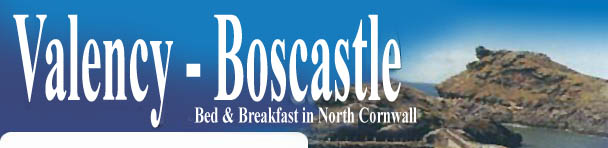 Bed & Breakfast in Boscastle