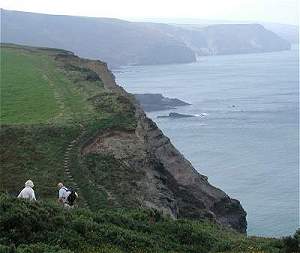 The coast path on the Morwenstow south circuit walk north of Bude