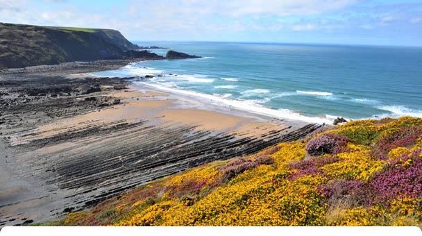 Welcombe House self-catering accommodation