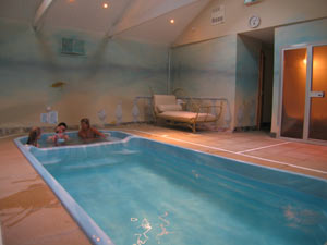 Swimming Pool and Spa