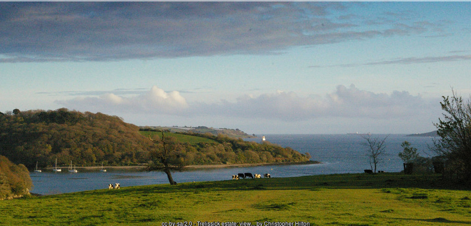 View south from the Trelissick estate down the Fal estuary