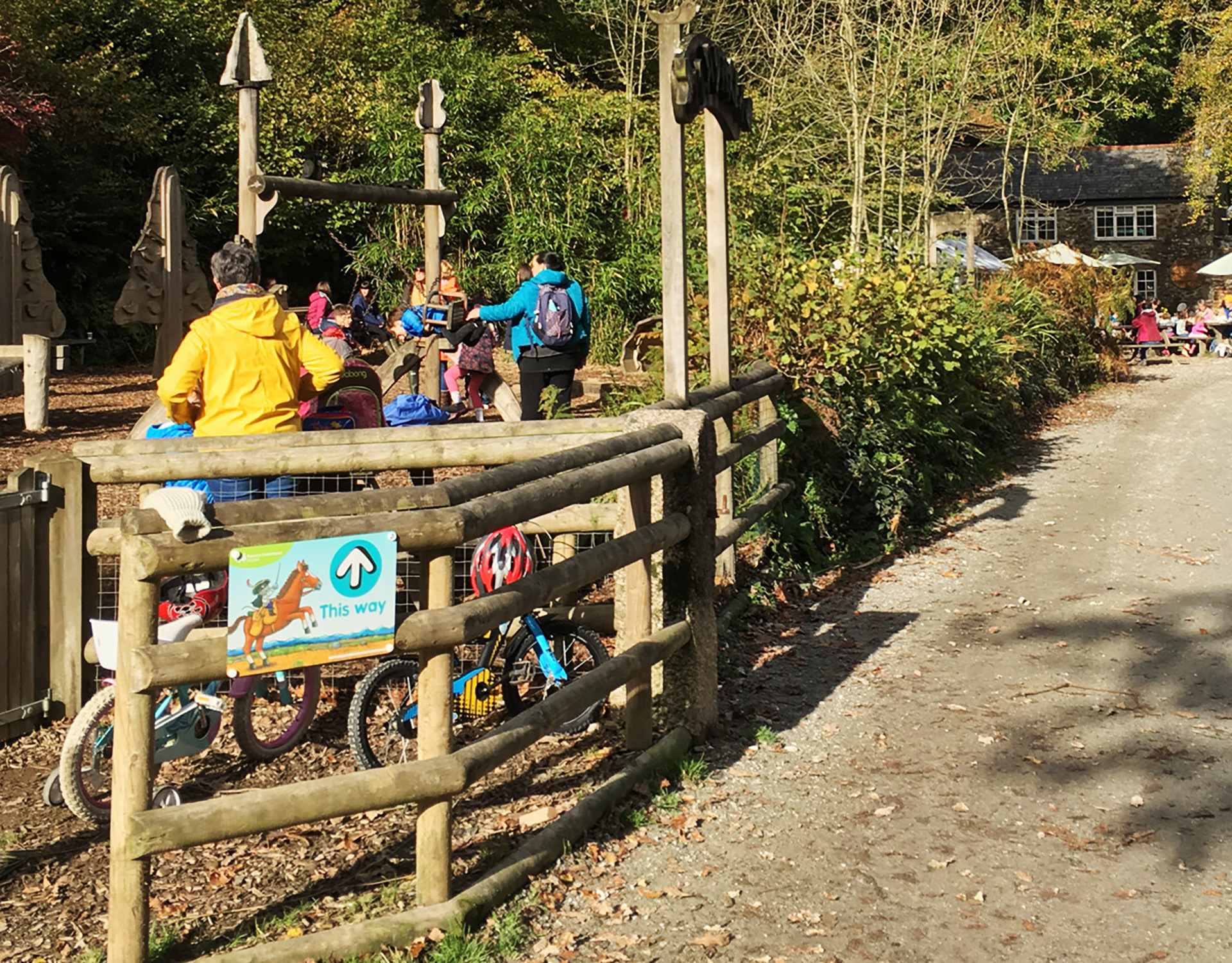 Cycle trail through Cardinham Woods, Cornwall