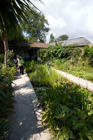Formal flower beds at the Lost Gardens of Heligan Cornwall