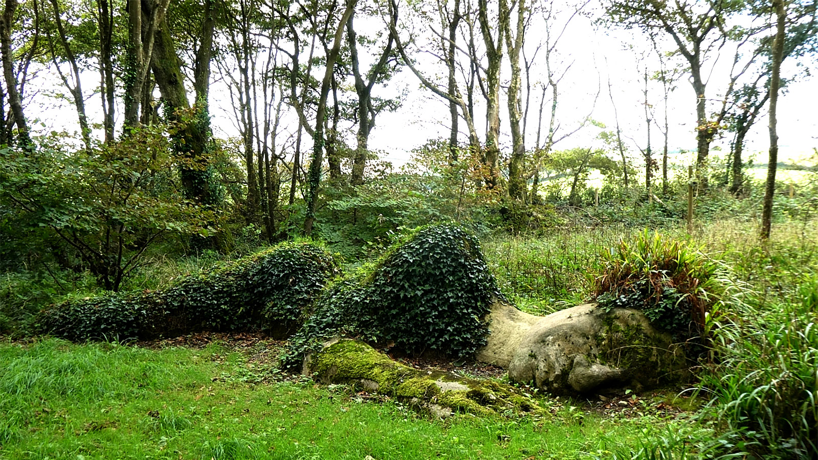 The Mud Maid sculpture on the woodland walk at Heligan