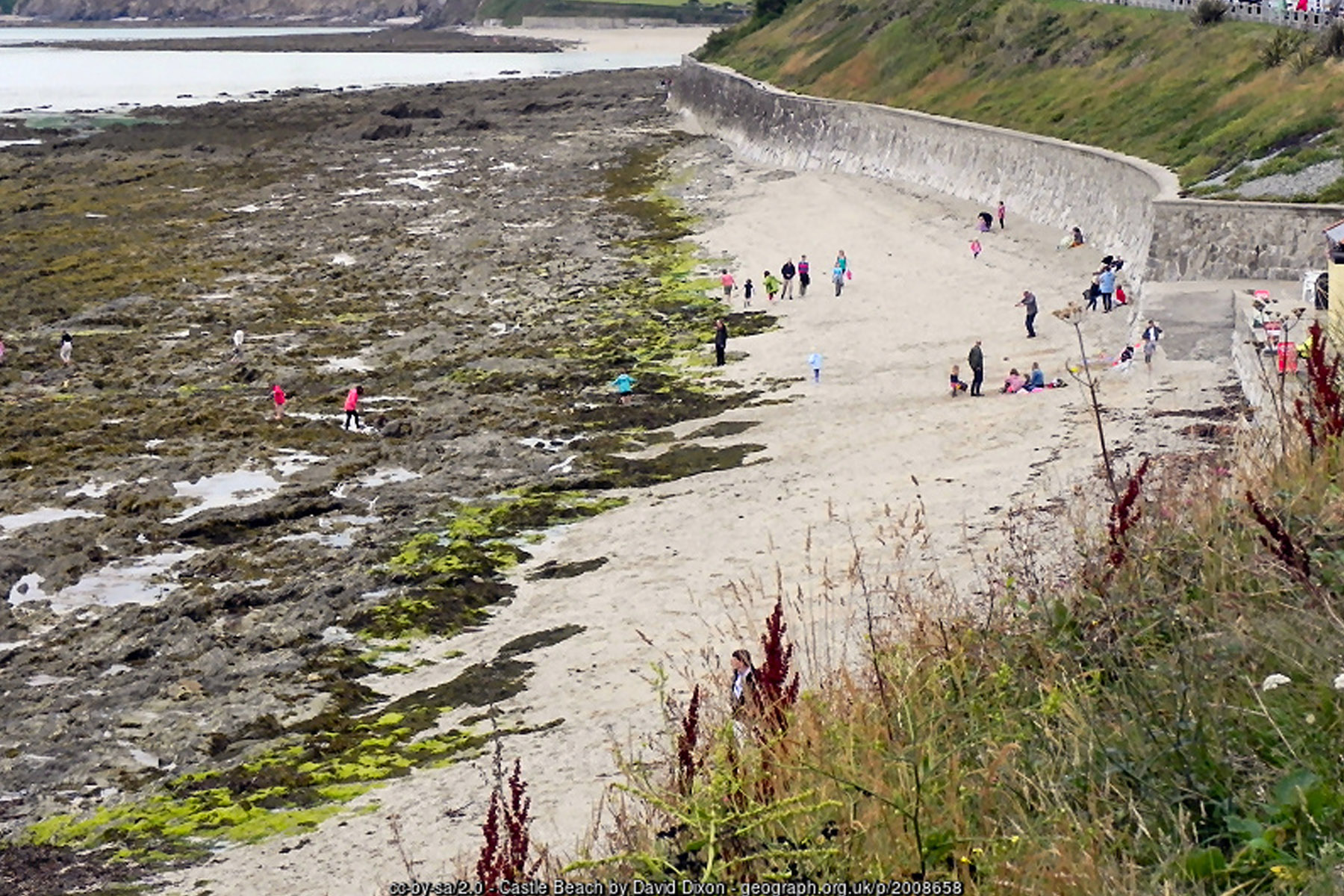 Castle Beach Falmouth Cornwall below Pendennis Castle - Cornwall coastal holidays