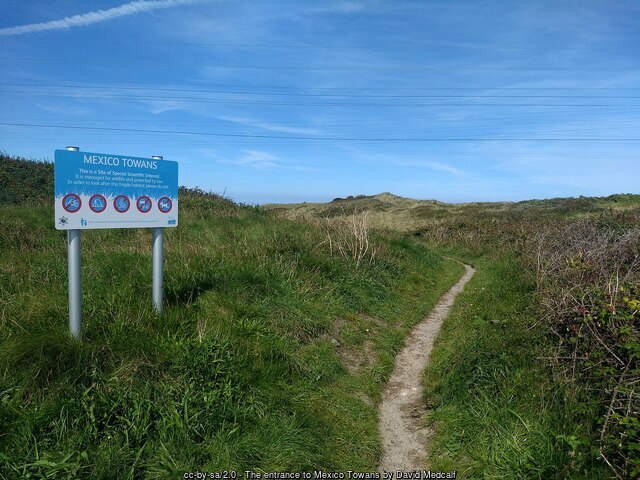 Mexico Towans Site of Special Scientific Interest Beach Hayle Cornwall - Cornwall dog-friendly beach holidays