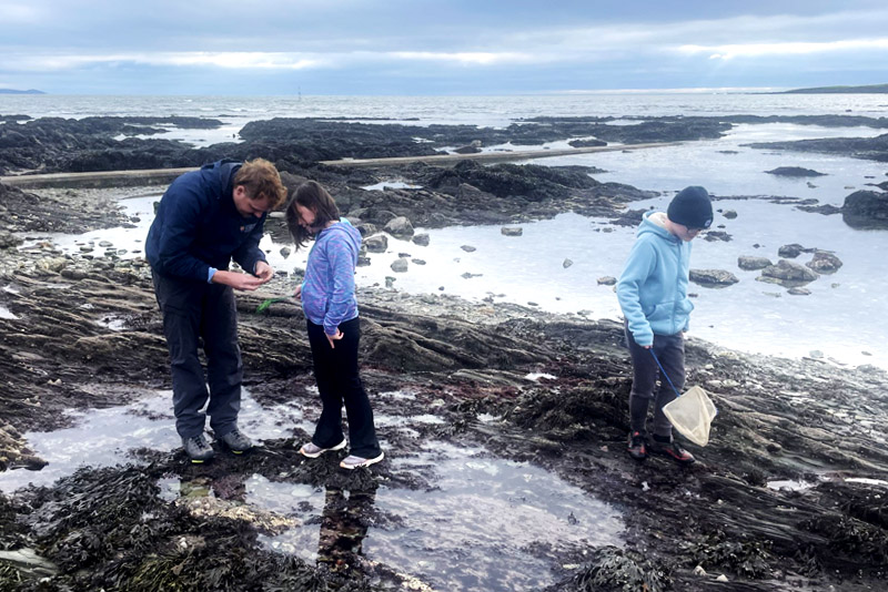 Rockpooling among the rock ledges at Hannafore Beach, Looe, Cornwall
