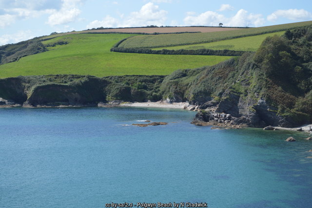 Polgwyn Beach, Cornwall