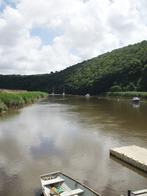 The River Tamar winding past Calstock with wooded valley sides