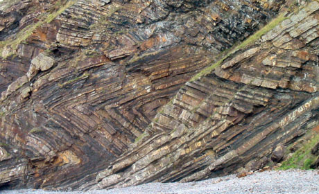 Chevron folds in Carboniferous sandstones and shales at Millook Haven, north Cornwall