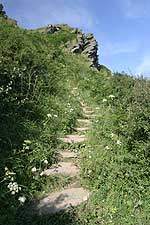 Steps on the coast path between Gorran Haven and Vault Beach