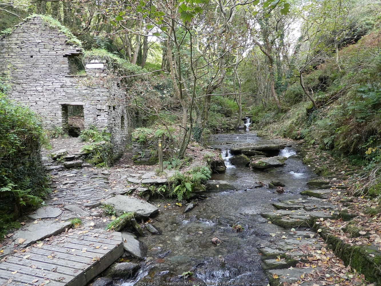 The ruins of Trewethern Mill beside the stream in the woodland section of Rocky Valley
