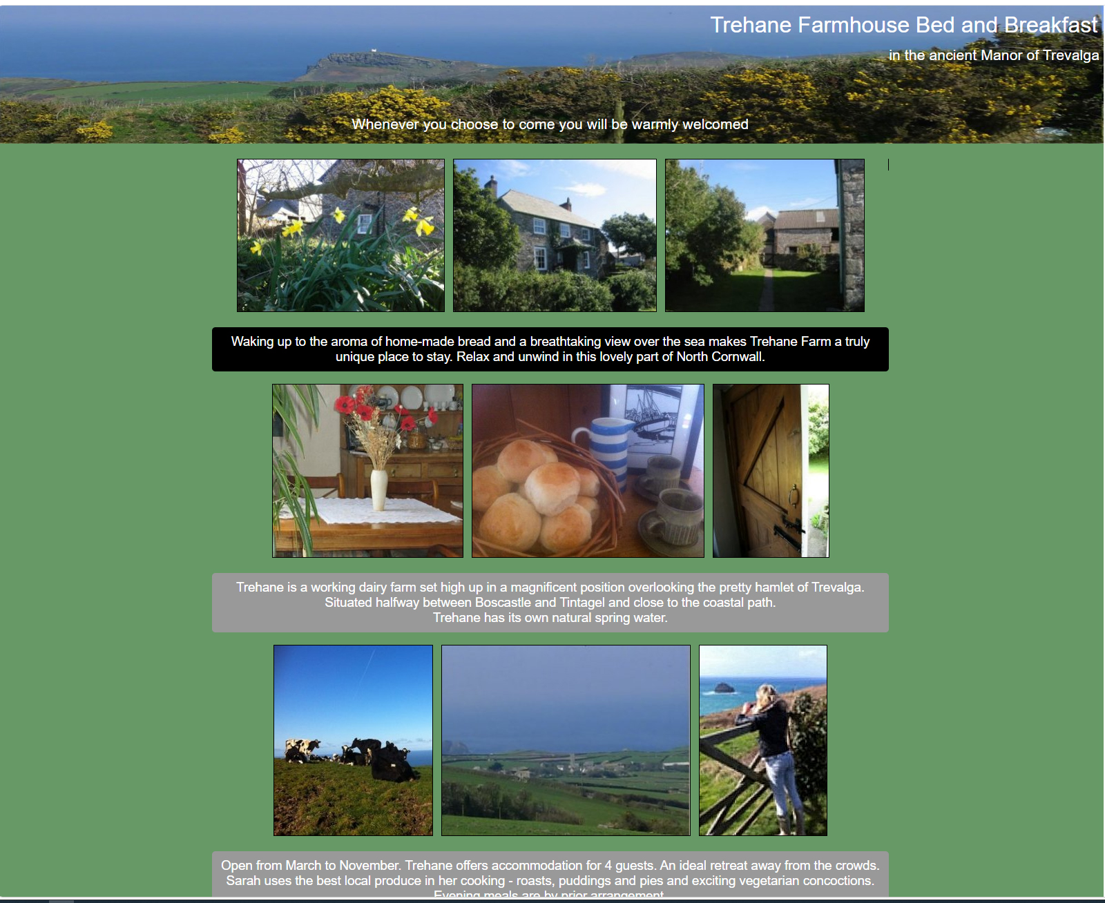 visit our website